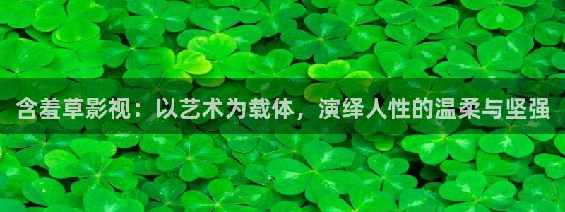 秋霞二级片