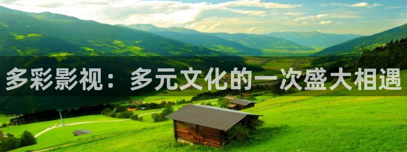 秋霞伦理影视网