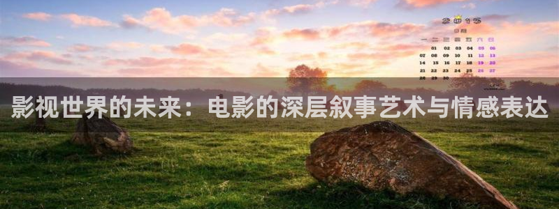 秋霞网看片资源