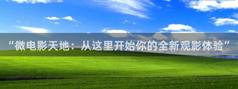 秋霞a级电影